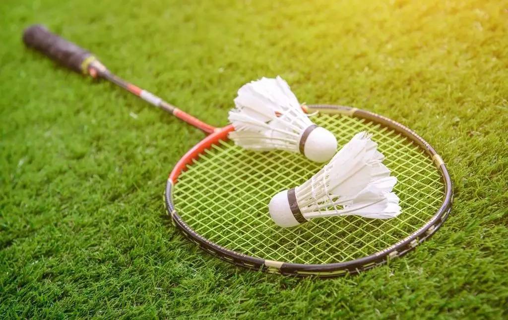 球队管理层 球队管理层