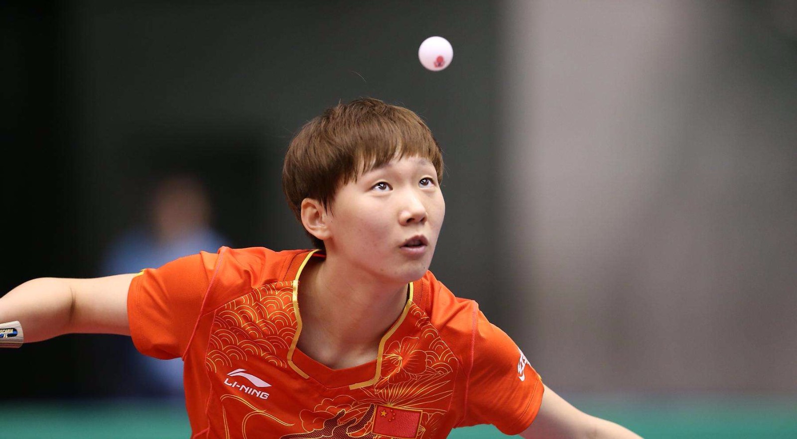 的发展窗口 的发展窗口